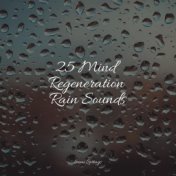 25 Mind Regeneration Rain Sounds