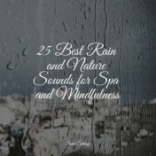 25 Best Rain and Nature Sounds for Spa and Mindfulness