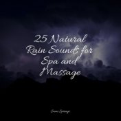 25 Natural Rain Sounds for Spa and Massage