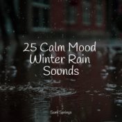 25 Calm Mood Winter Rain Sounds