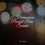 25 Harmonious Peaceful Rain Sounds