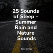 25 Sounds of Sleep - Summer Rain and Nature Sounds