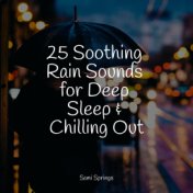 25 Soothing Rain Sounds for Deep Sleep & Chilling Out