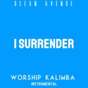 I Surrender (Worship Kalimba Instrumental)