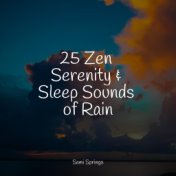 25 Zen Serenity & Sleep Sounds of Rain