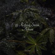 25 Refresh Storm Album