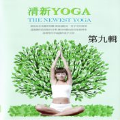 清新yoga 第九輯 (The Newest Yoga)