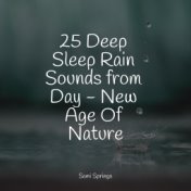 25 Deep Sleep Rain Sounds from Day - New Age Of Nature