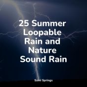 25 Summer Loopable Rain and Nature Sound Rain