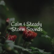 Calm & Steady Storm Sounds