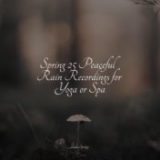 Spring 25 Peaceful Rain Recordings for Yoga or Spa