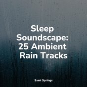 Sleep Soundscape: 25 Ambient Rain Tracks