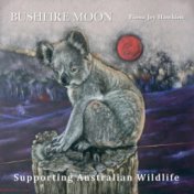 Bushfire Moon