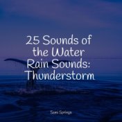 25 Sounds of the Water Rain Sounds: Thunderstorm