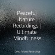 Peaceful Nature Recordings | Ultimate Mindfulness