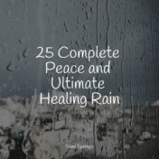 25 Complete Peace and Ultimate Healing Rain