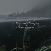 25 Sleep and Relaxing Rain Sounds