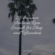 25 Summer Ambient Rain Sounds for Sleep and Relaxation