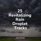 25 Revitalizing Rain Droplet Tracks