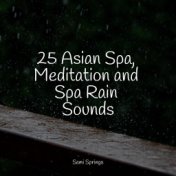 25 Asian Spa, Meditation and Spa Rain Sounds