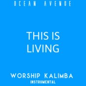 This Is Living (Worship Kalimba Instrumental)
