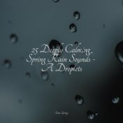 25 Deeply Calming Spring Rain Sounds - A Droplets