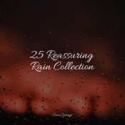 25 Reassuring Rain Collection