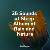 25 Sounds of Sleep Album of Rain and Nature
