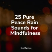 25 Pure Peace Rain Sounds for Mindfulness