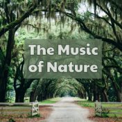 The Music of Nature: Amazing Powerful Nature Sounds for Inner Peace