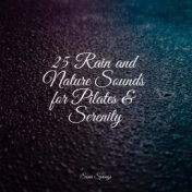 25 Rain and Nature Sounds for Pilates & Serenity