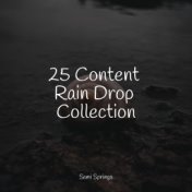 25 Content Rain Drop Collection