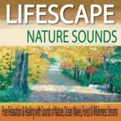 Lifescape Nature Sounds: Pure Relaxation & Healing With Sounds of Nature, Ocean Waves, Forest & Wilderness Streams