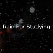 !!" Rain For Studying "!!
