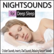 Nightsounds for Deep Sleep: Cricket Sounds, Insects, Owl Sounds, Relaxing Nature Sounds