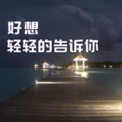 好想轻轻的告诉你 (DJ合辑)