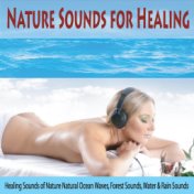 Nature Sounds for Healing: Healing Sounds of Nature Natural Ocean Waves, Forest Sounds, Water & Rain Sounds