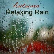 Relaxation Sounds: Rain