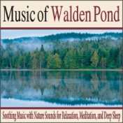 Music of Walden Pond: Soothing Music With Nature Sounds for Relaxation, Meditation, And Deep Sleep