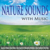 Nature Sounds With Music: Sounds of Nature, Ocean Waves, Forest Sounds for Relaxation, Meditation, Music Healing & Deep Sleep