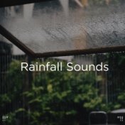 !!" Rainfall Sounds "!!