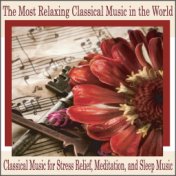 The Most Relaxing Classical Music in the World: Classical Music for Stress Relief, Meditation, And Sleep Music