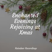 Enchanted Evenings Rejoicing at Xmas