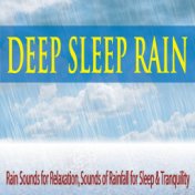 Deep Sleep Rain: Rain Sounds for Relaxation, Sounds of Rainfall for Sleep & Tranquility