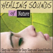 Healing Sounds of Nature: Sleep Aid Proven for Deep Sleep and Sound Healing