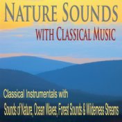 Nature Sounds With Classical Music: Classical Instrumentals With Sounds of Nature, Ocean Waves, Forest Sounds & Wilderness Strea...