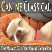 Canine Classical: Dog Music to Calm Your Canine Companion