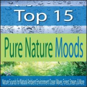 Top 15 Pure Nature Moods: Nature Sounds for Natural Ambient Environment Ocean Waves, Forest, Stream, & More