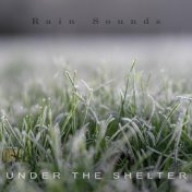 Under the Shelter