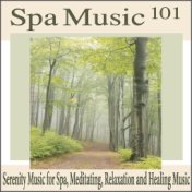 Spa Music 101: Serenity Music for Spa, Meditating, Relaxation and Healing Music